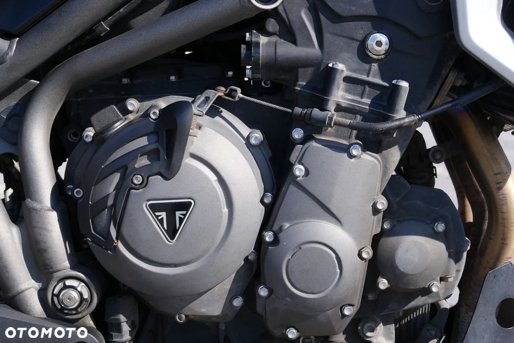 Triumph Tiger - 28