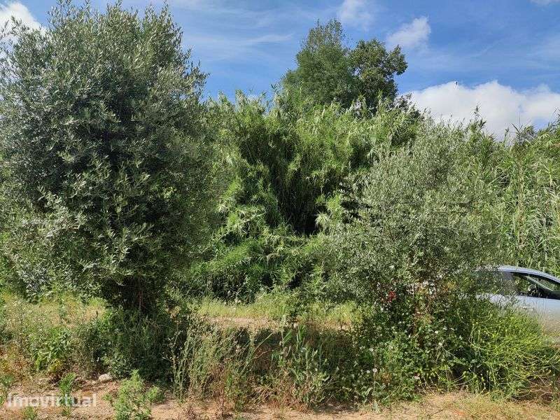 terreno rustico adémia - Grande imagem: 4/5
