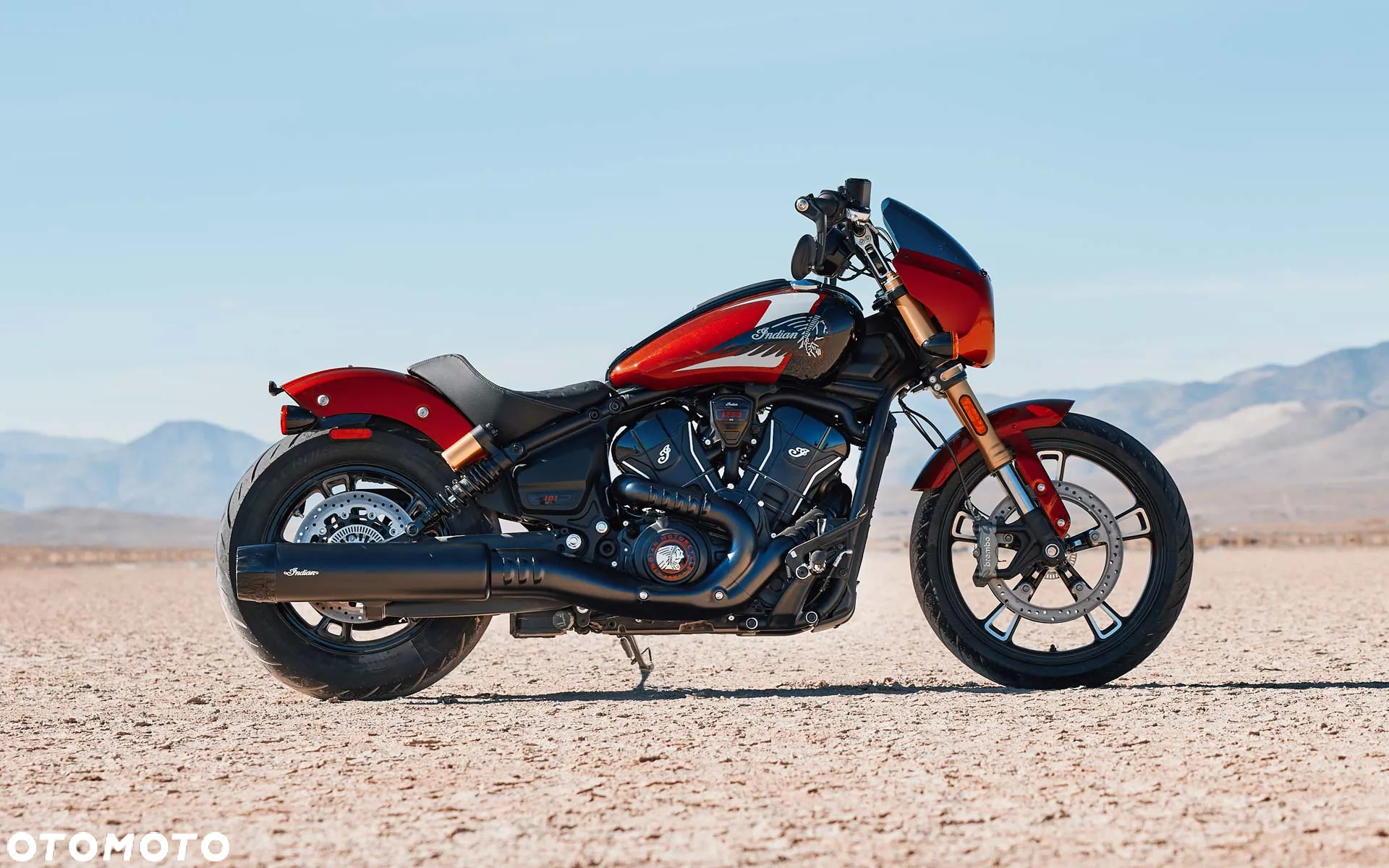 Indian Scout - 18