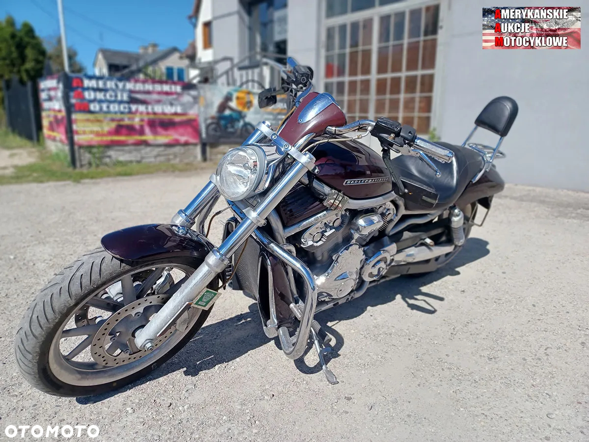 Harley-Davidson V-Rod Street Rod - 7