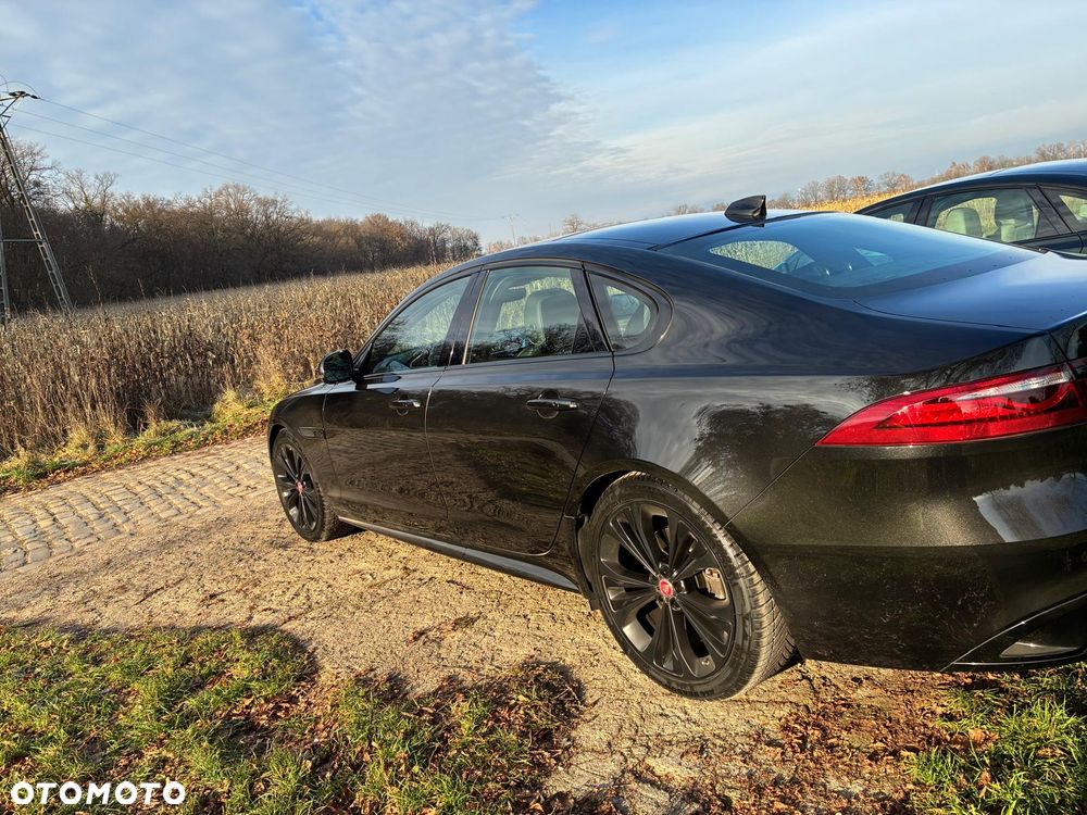 Jaguar XF P300 AWD R-Dynamic SE - 22