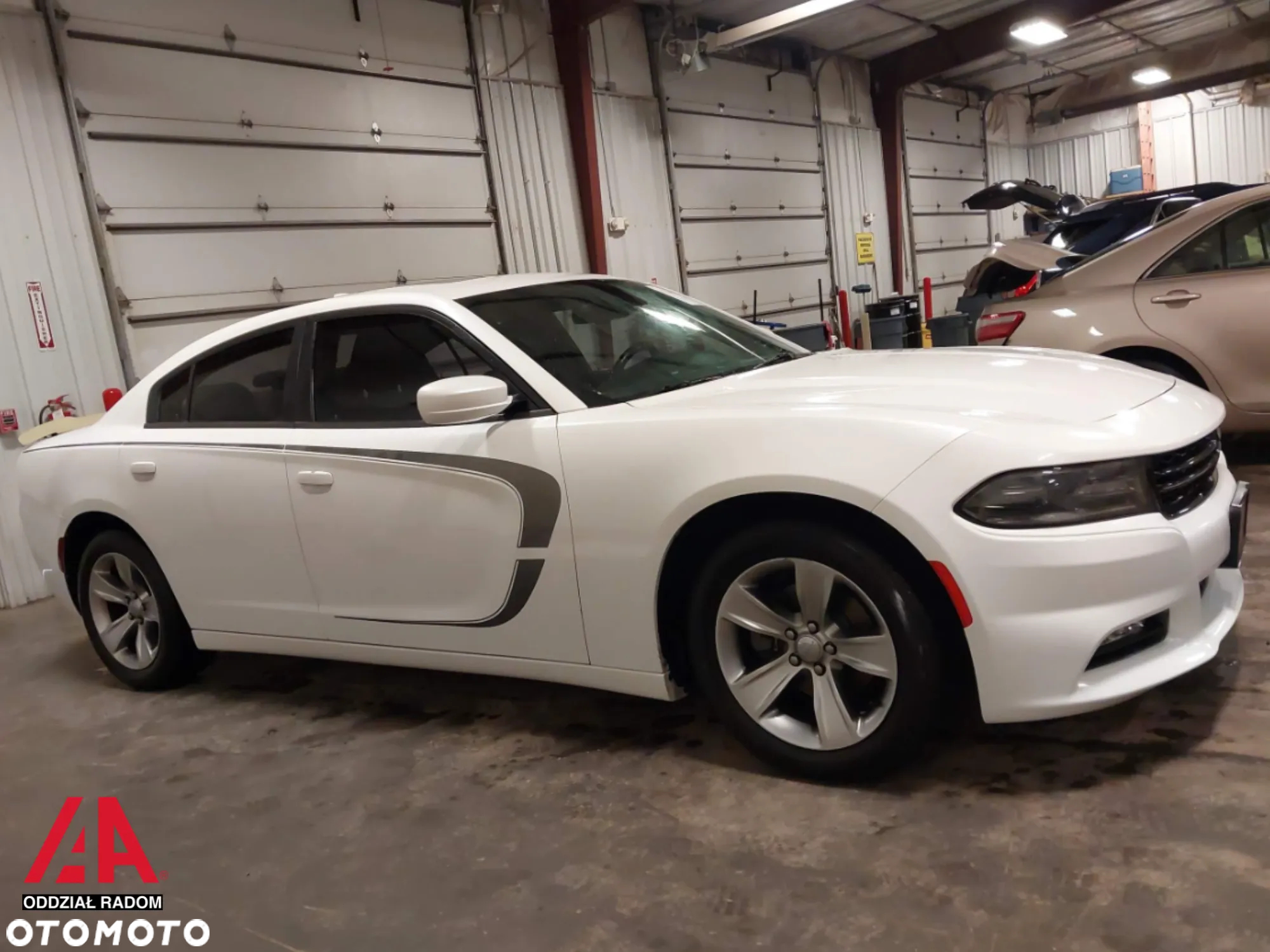 Dodge Charger - 8