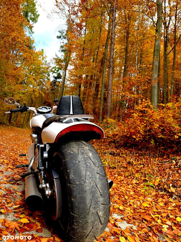 Harley-Davidson V-Rod Muscle - 6