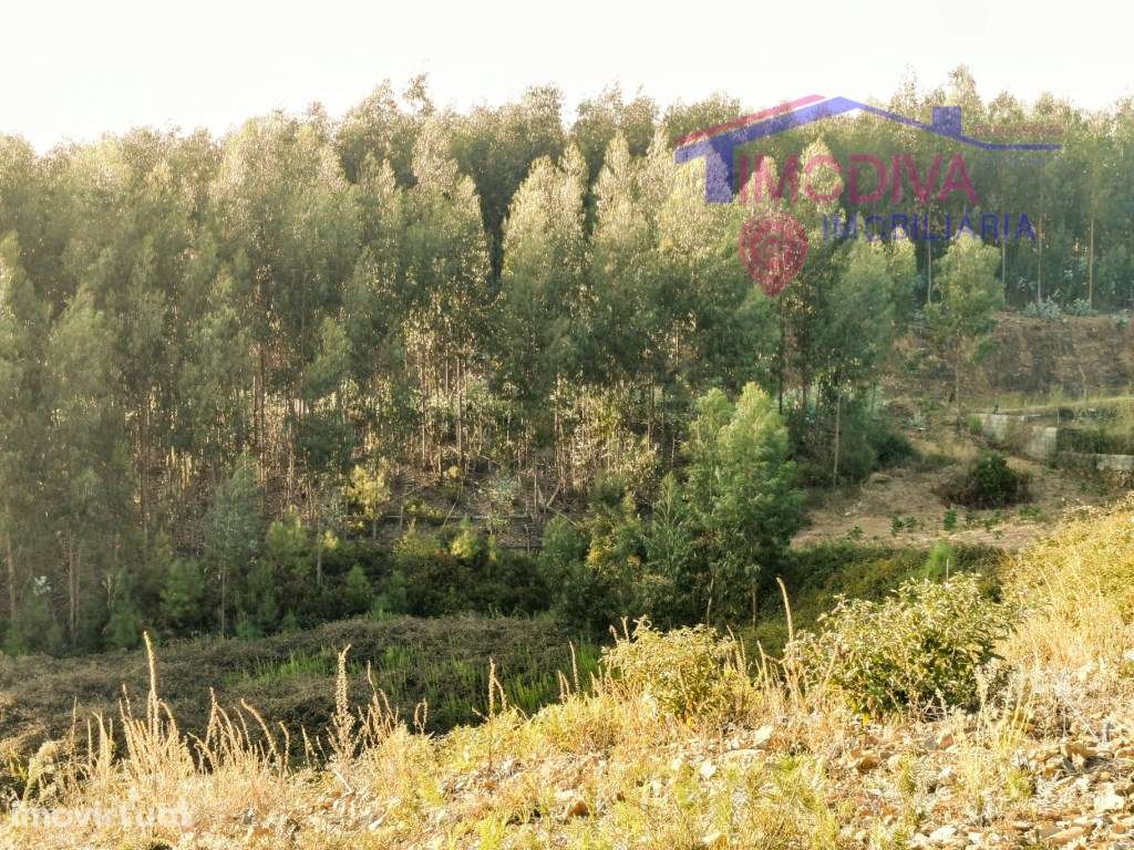 Terreno com bom acesso - Grande imagem: 4/4