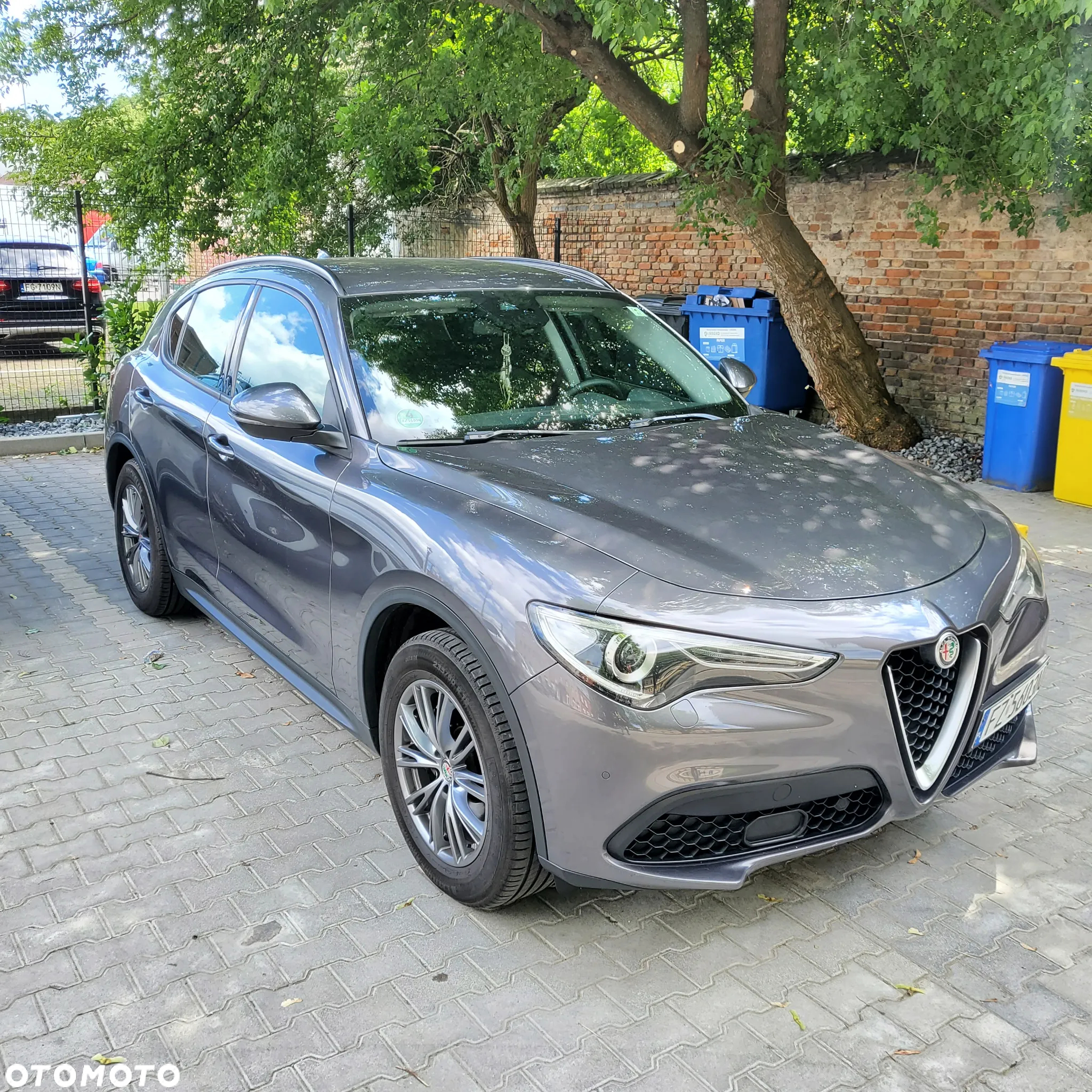 Alfa Romeo Stelvio - 7