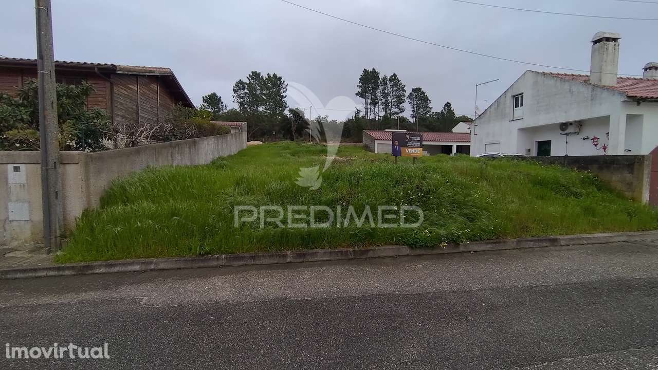 Terreno Urbano 317 m2 - Carregueira - Chamusca - Grande imagem: 2/7