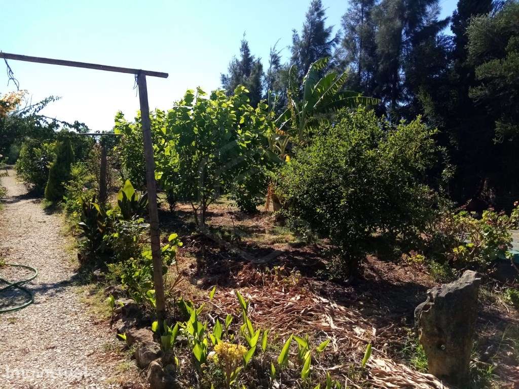 Terreno Agrícola com 2.120 m², São Bartolomeu de Messines, Algarve - Grande imagem: 3/33