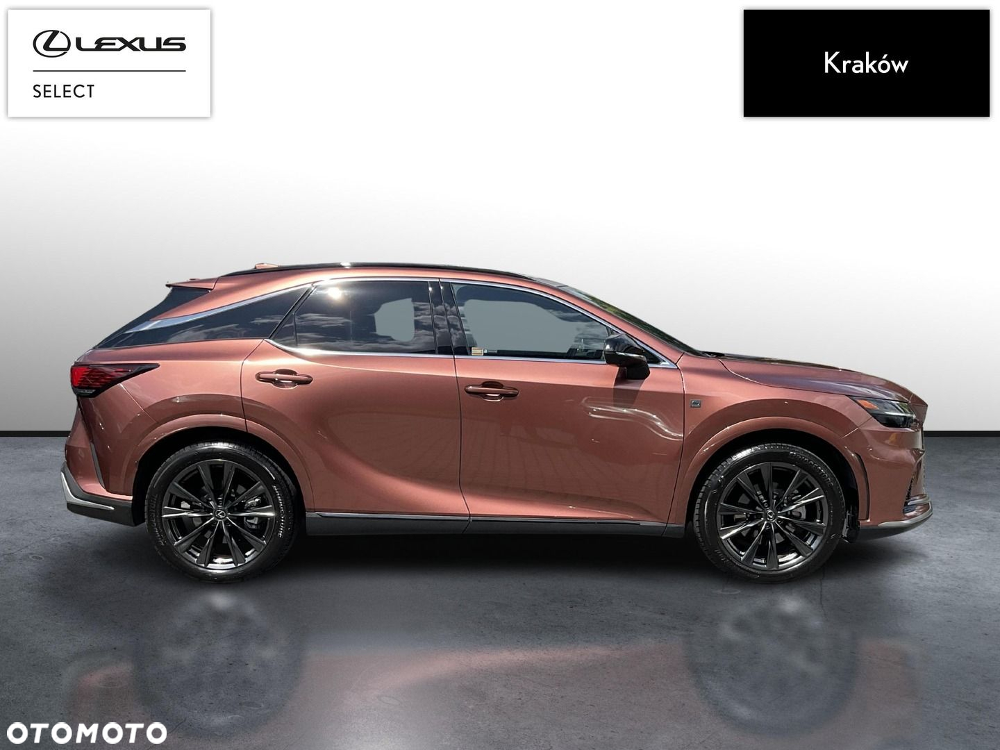 Lexus RX - 6