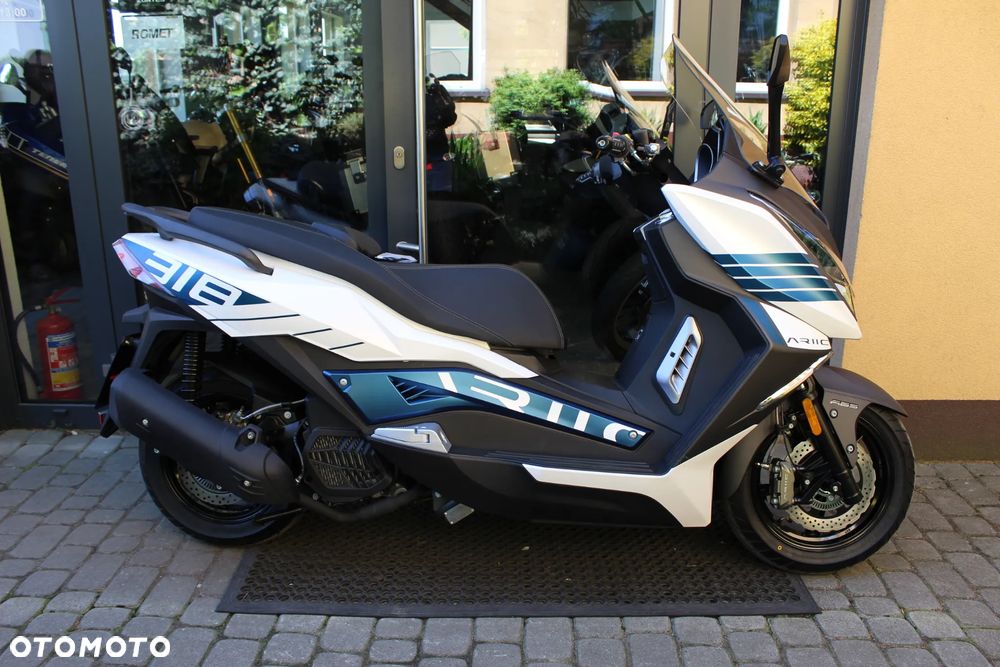 Ariic 318