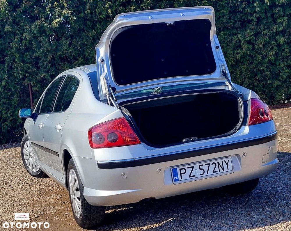 Peugeot 407 - 20