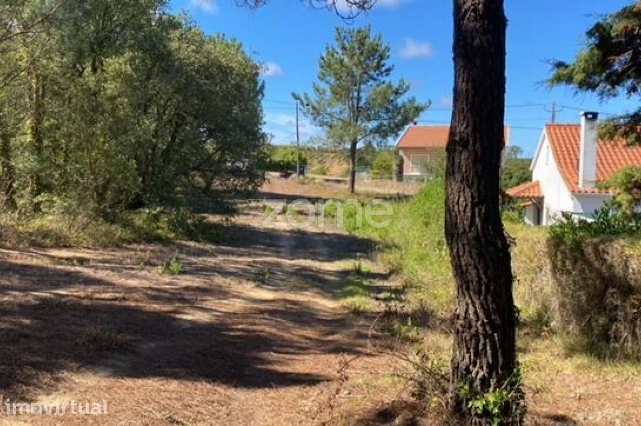 TERRENO URBANIZÁVEL USSEIRA, ÓBIDOS - Grande imagem: 5/15