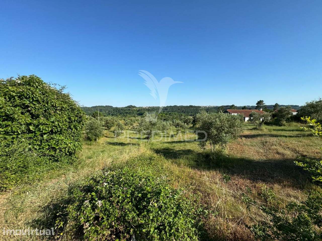 Lotes de terreno para construção em Seiça, Ourém - Grande imagem: 4/4
