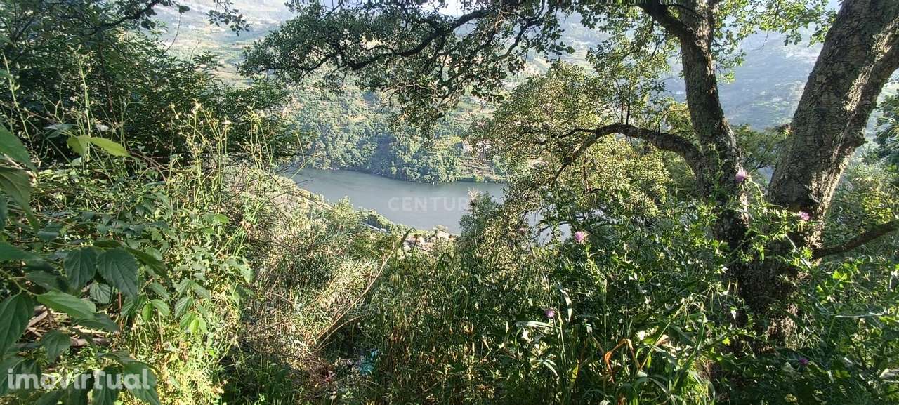 Terreno florestal com vista para a praia fluvial de Porto de Rei em Ba - Grande imagem: 2/45