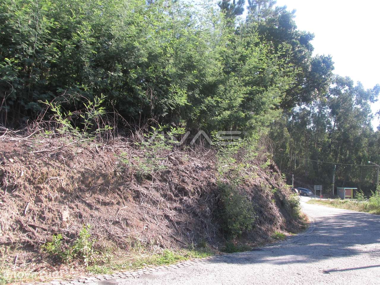 Terreno Rústico  Venda em Dossãos,Vila Verde - Grande imagem: 4/6