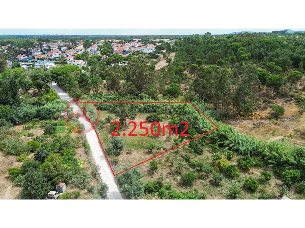 Terreno com Informação Urbanística Favorável, Potencial de Construç... - Grande imagem: 2/26