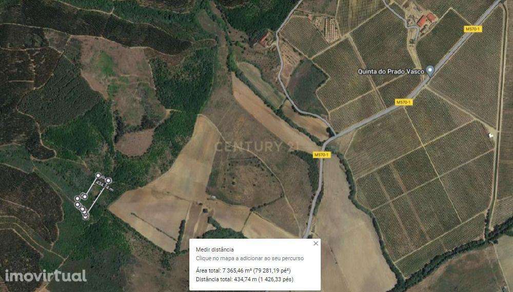 Terreno Agrícola 12Ha em Capinha, Fundão - Grande imagem: 4/9