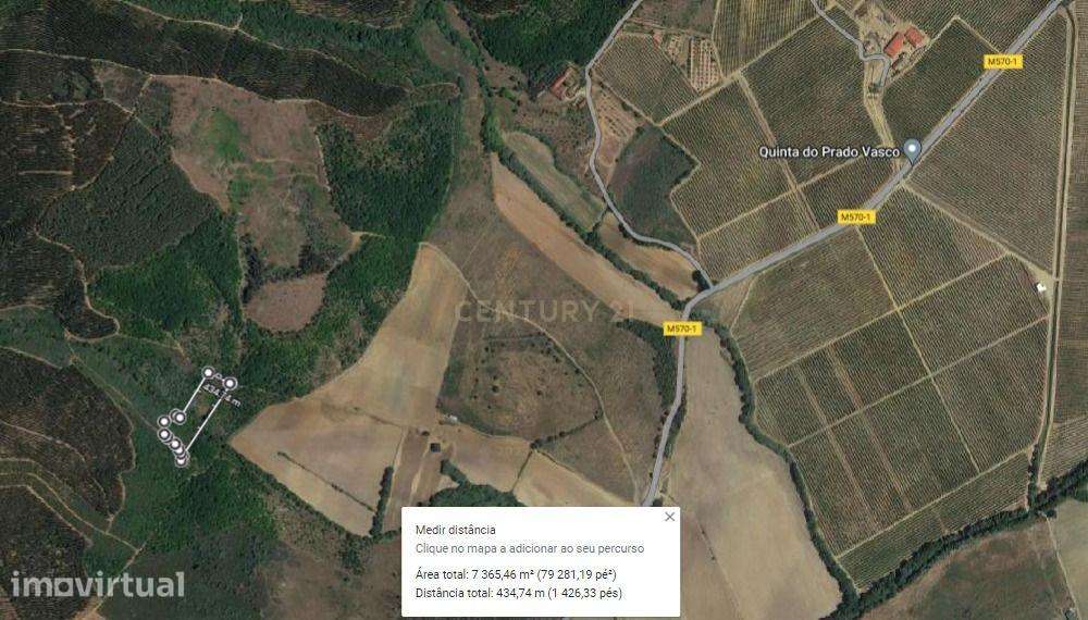 Terreno Agrícola 12Ha em Capinha, Fundão - Grande imagem: 4/9