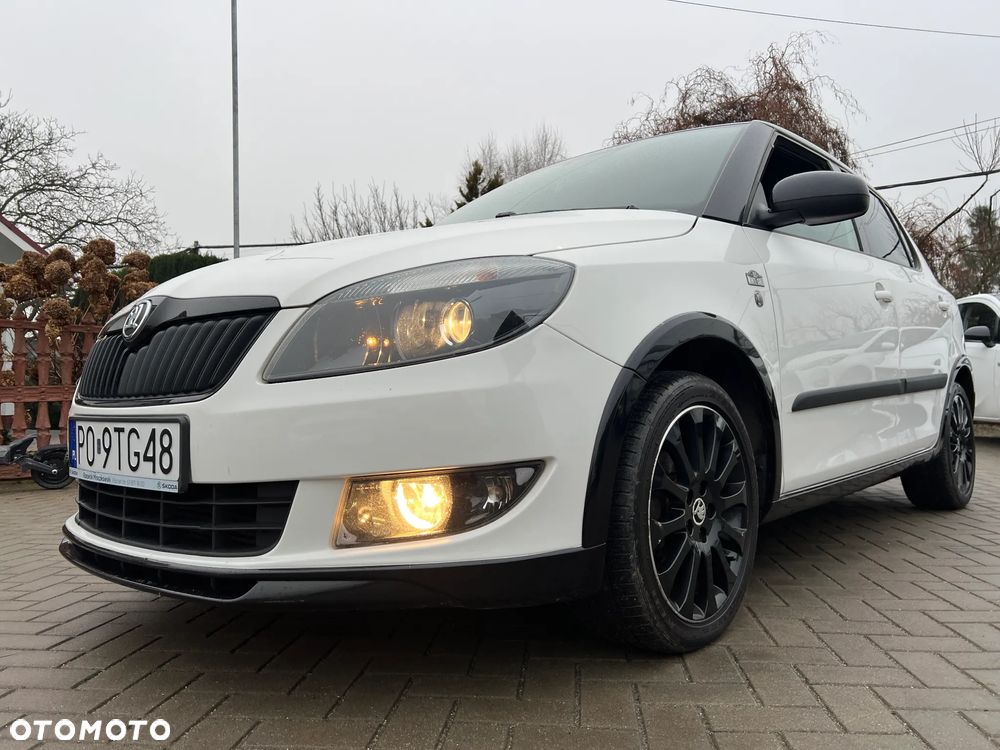 Skoda Fabia - 29