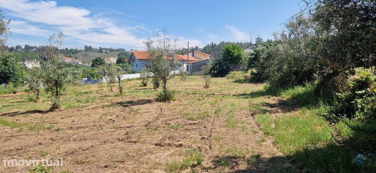 Terreno para construção em Mangualde - Grande imagem: 3/6