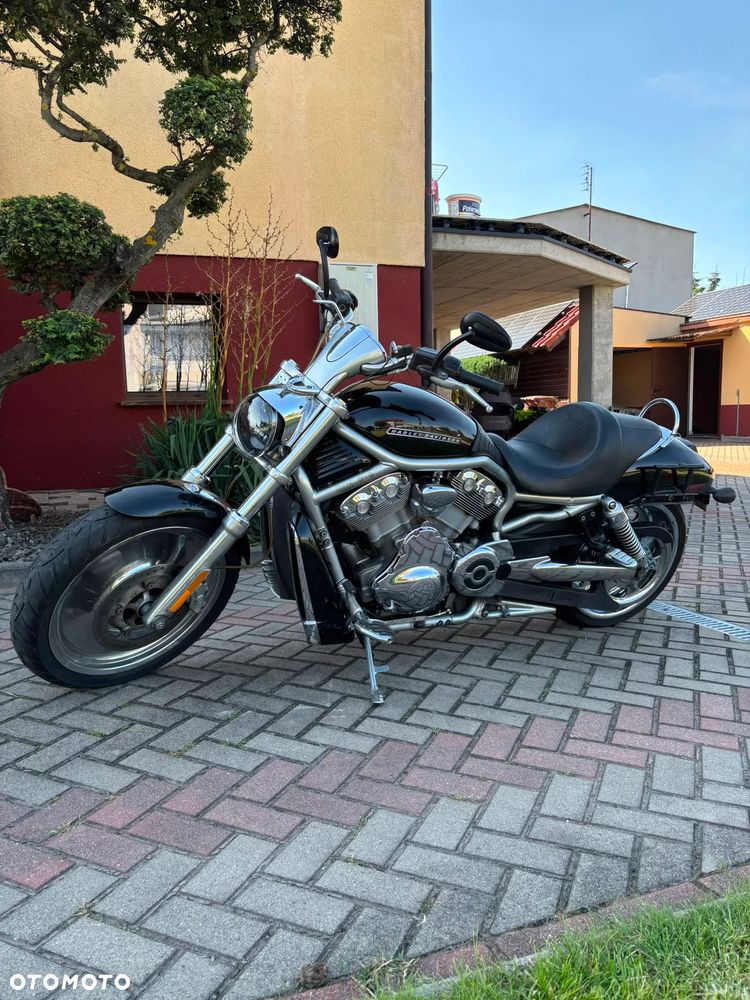 Harley-Davidson V-Rod Street Rod - 1