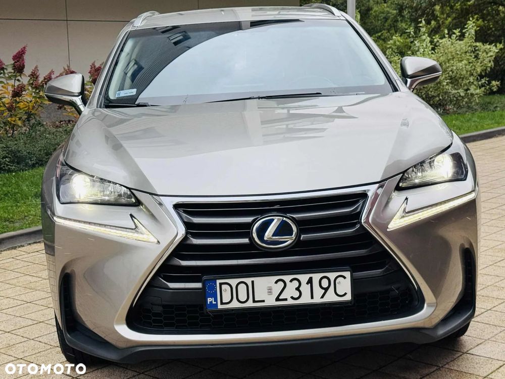 Lexus NX 300h Elite 2WD - 17