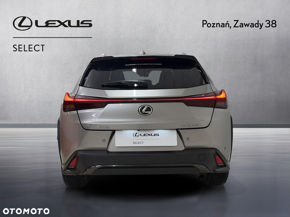 Lexus UX 300h F Sport Design - 8