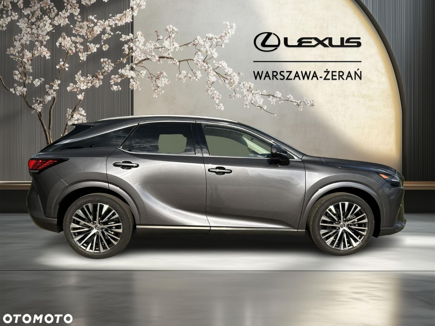 Lexus RX - 8