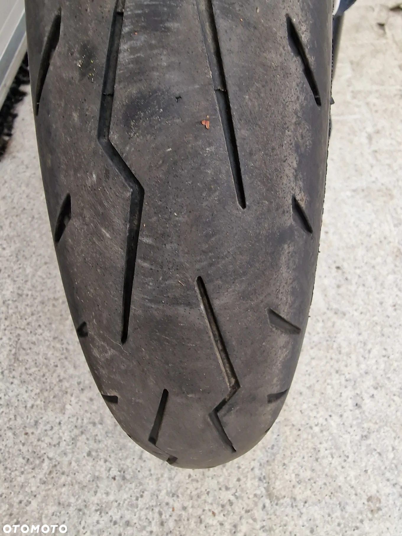 Triumph Tiger - 12