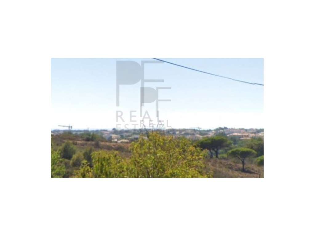 Terreno em Alvide - Grande imagem: 5/6