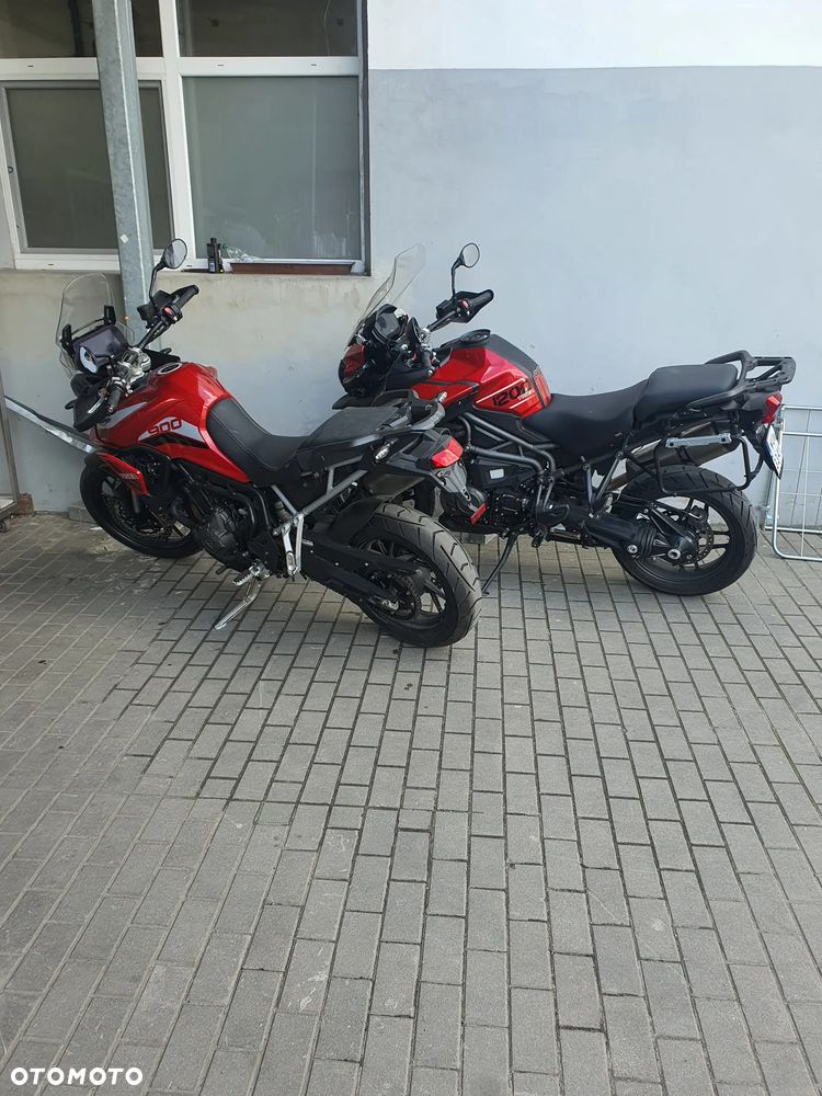 Triumph Tiger - 6