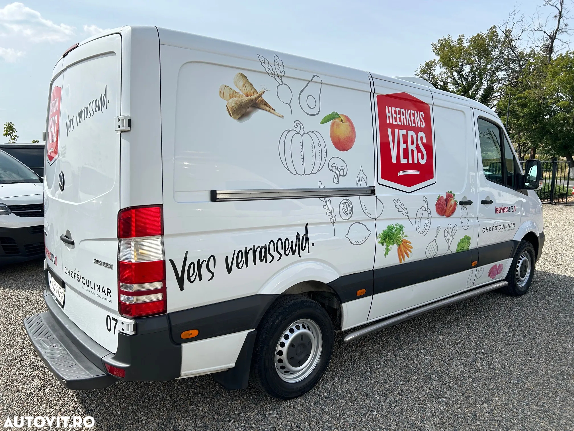 Mercedes-Benz Sprinter 313 Frigorific - 3