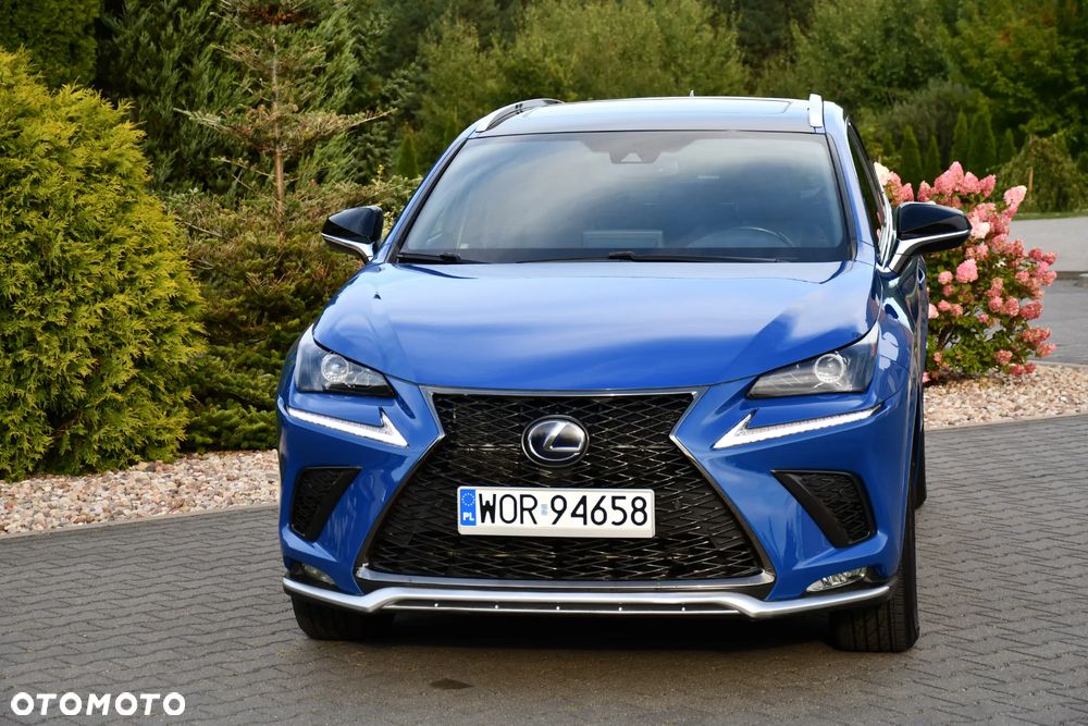 Lexus NX 300h E-FOUR F SPORT - 4