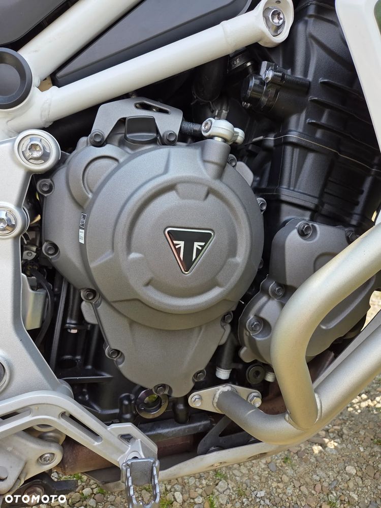 Triumph Tiger - 14
