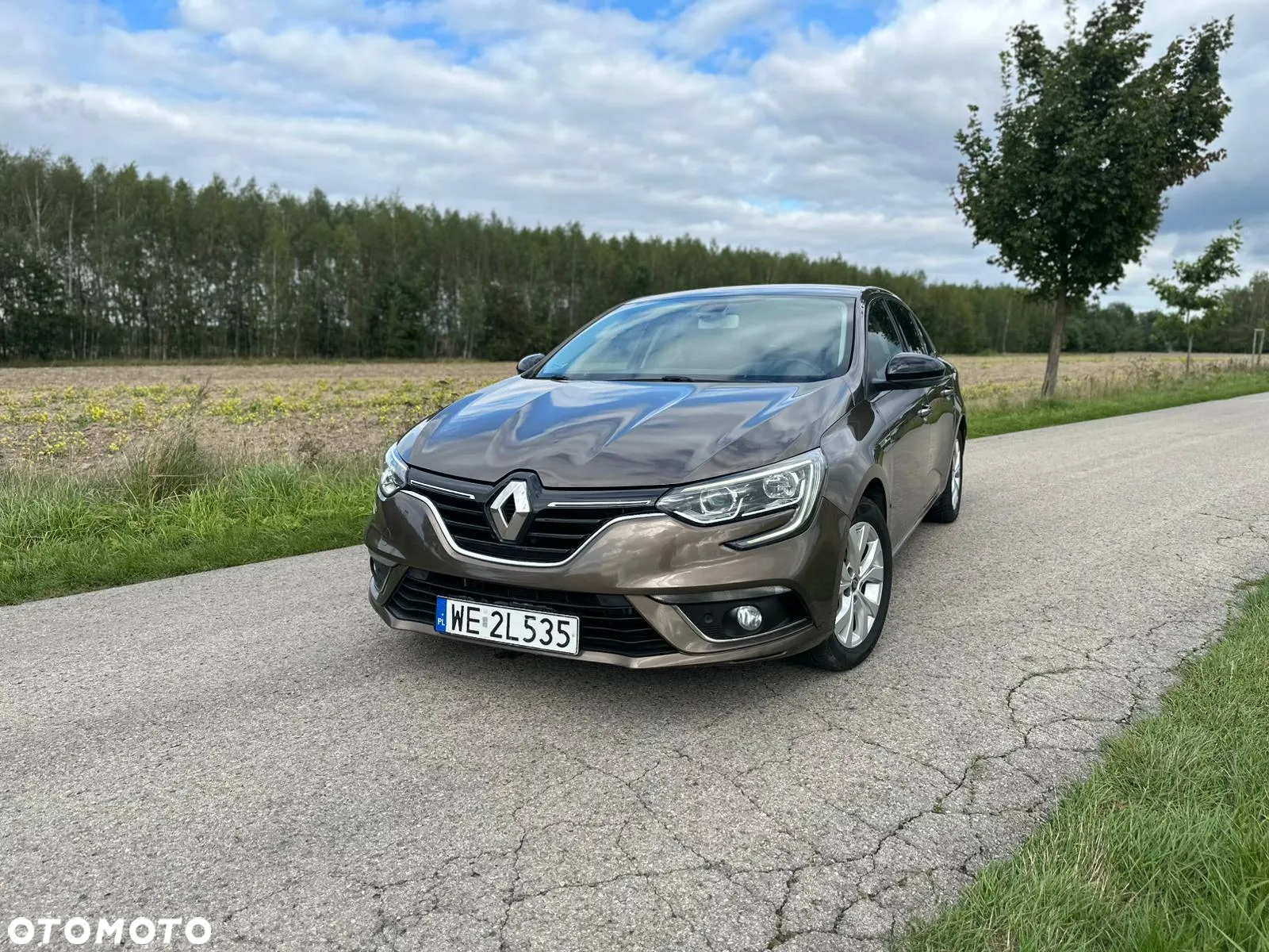 Renault Megane 1.5 Blue dCi Limited - 16
