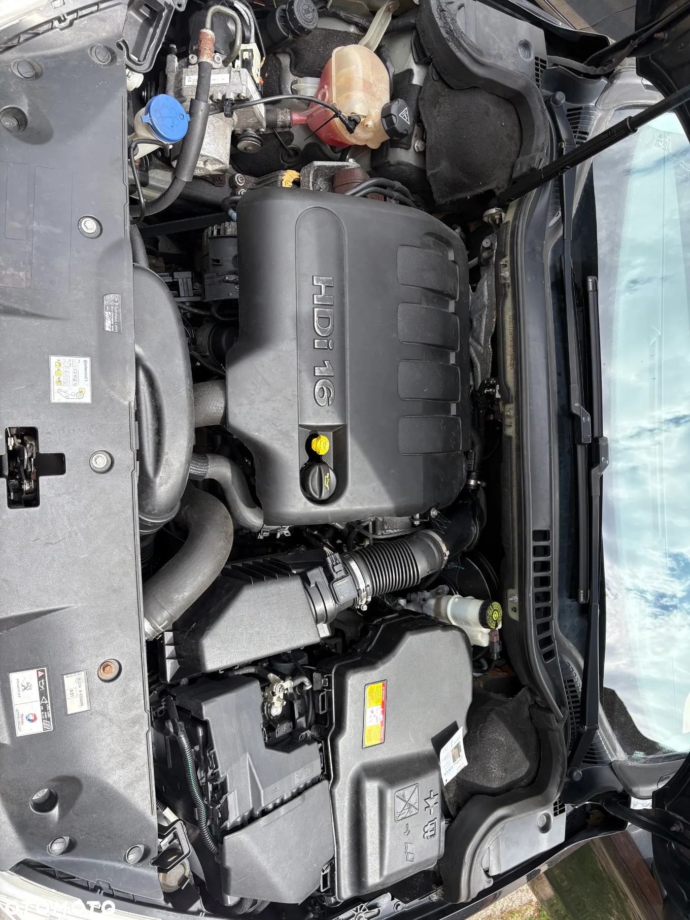 Peugeot 508 2.0 HDi Allure - 12