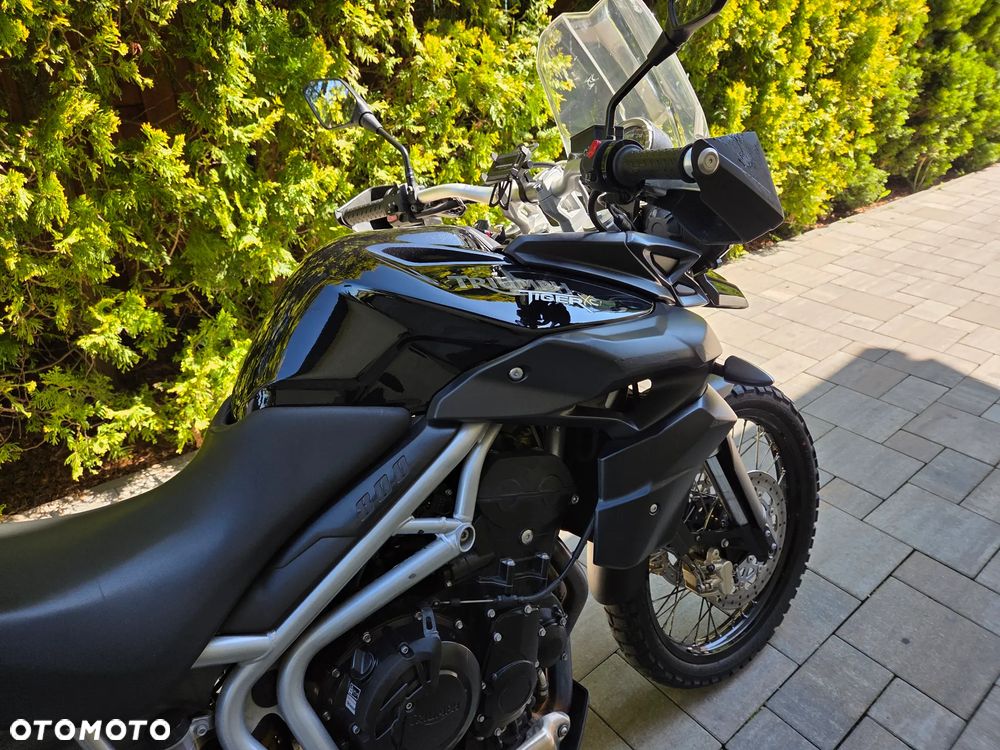 Triumph Tiger - 11