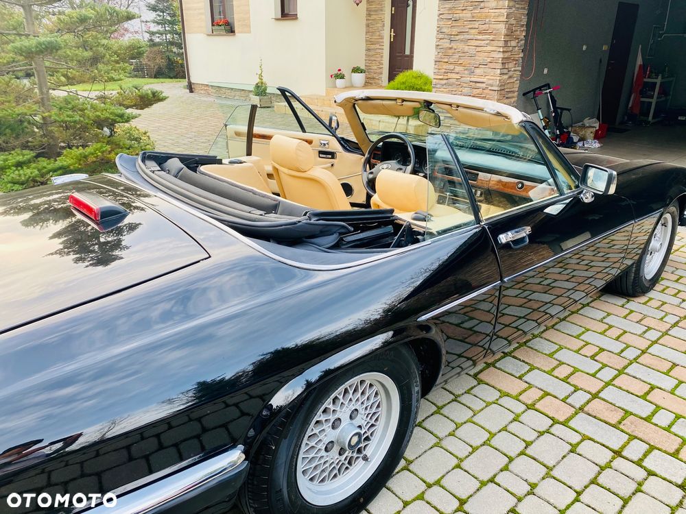 Jaguar XJS - 6