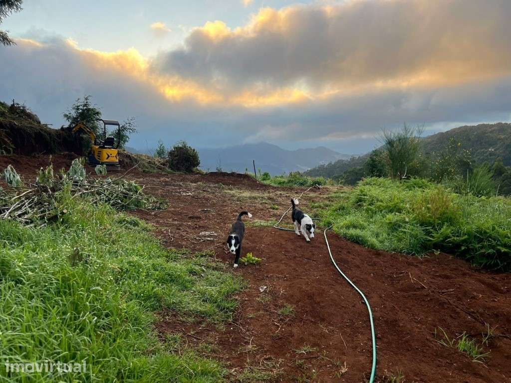 Moradia com terreno de 1.2 ha - Santo da Serra - Grande imagem: 4/22