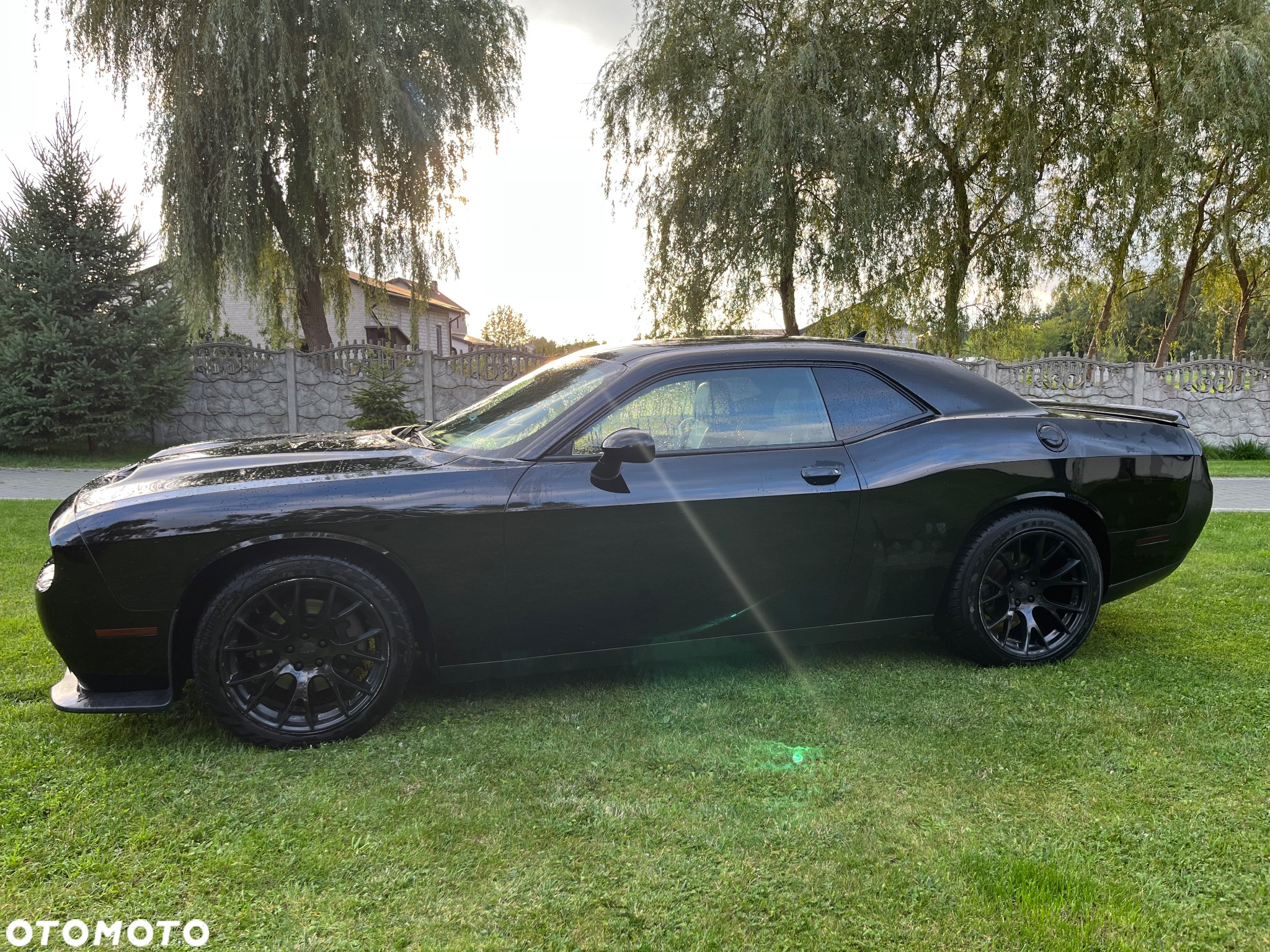 Dodge Challenger - 5
