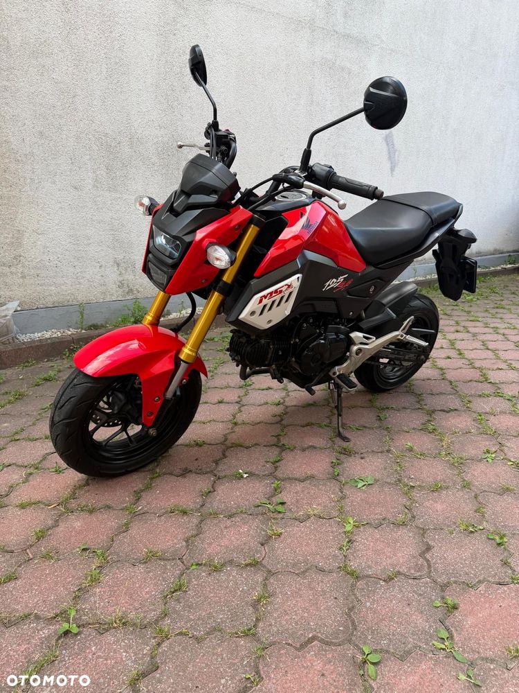 Honda MSX 125 - 1