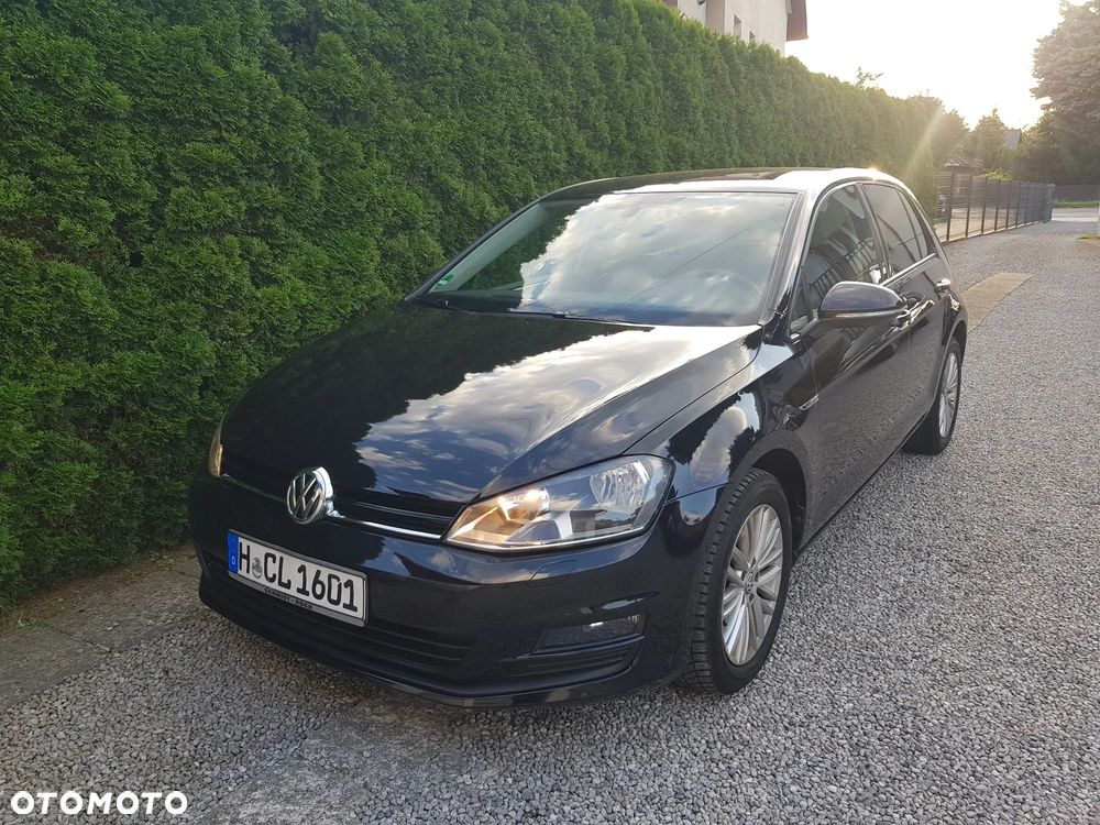 Volkswagen Golf 1.6 TDI BlueMotion Technology Cup