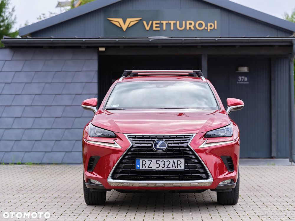 Lexus NX 300h Elegance + Business AWD - 3