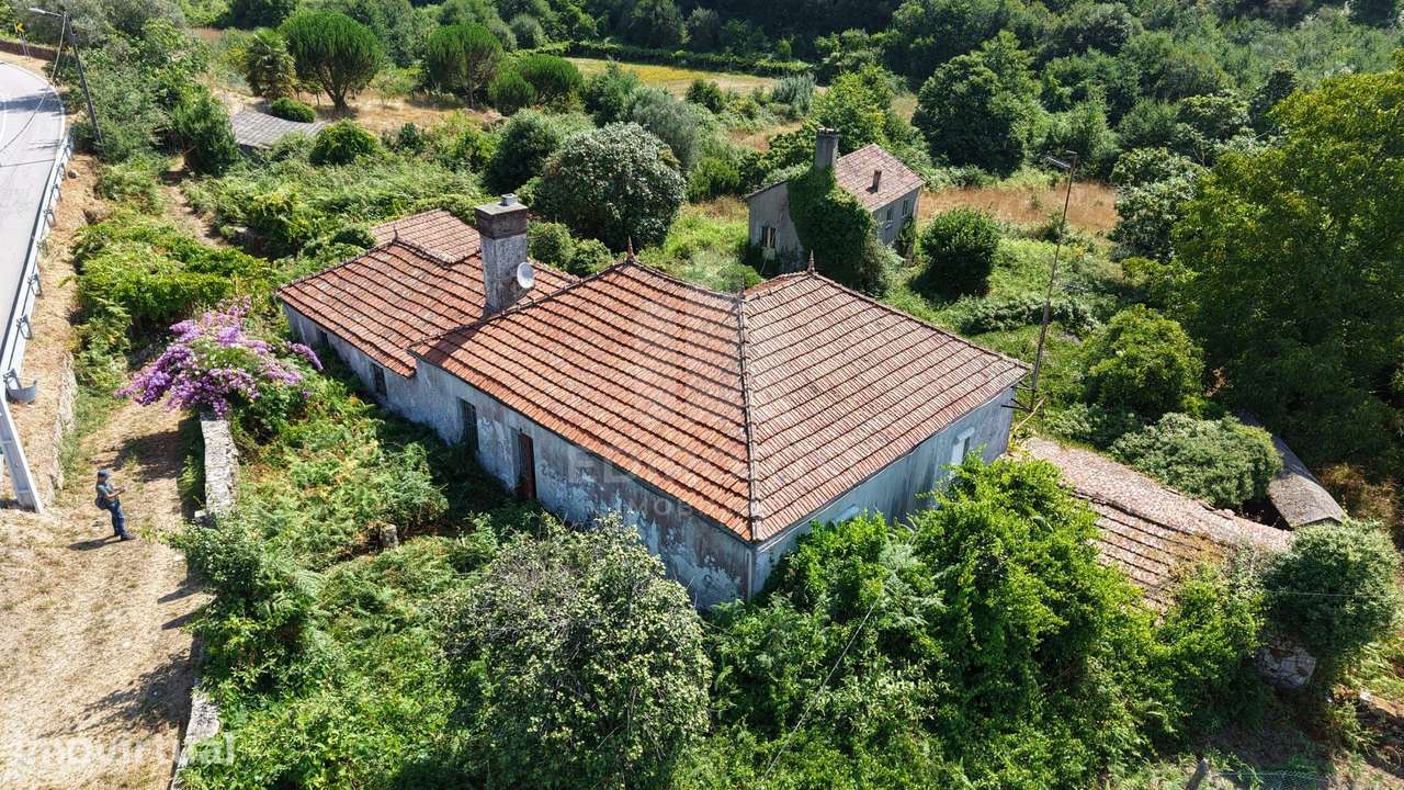 Quinta Rústica com 2 Casas (T4 e T2): Ideal para Turismo ou Família - Grande imagem: 4/60