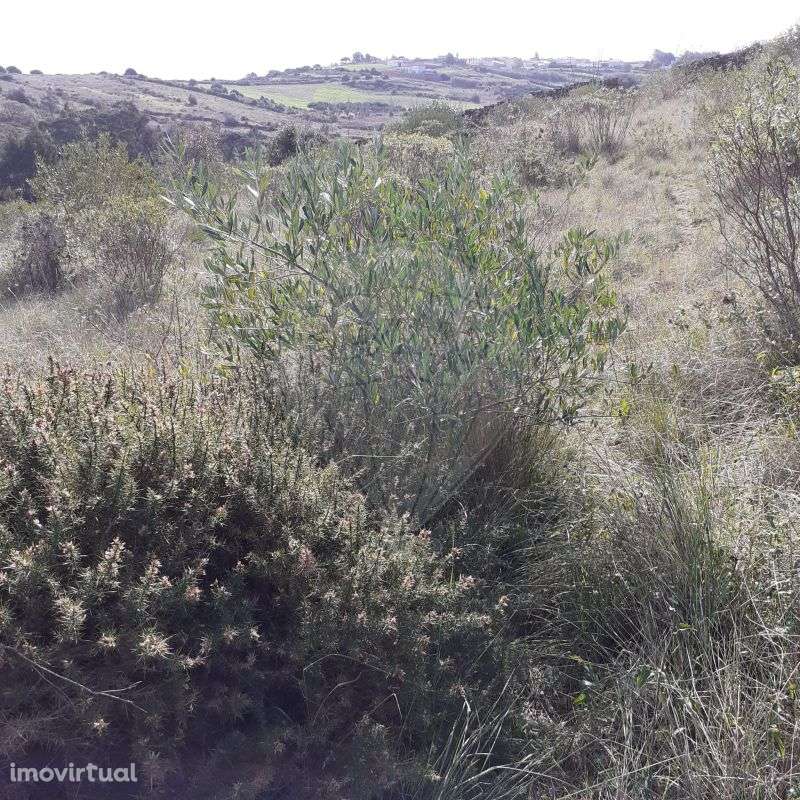 Terreno  para venda - Grande imagem: 5/7