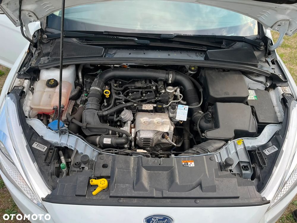 Ford Focus 1.0 EcoBoost Gold X ASS - 13