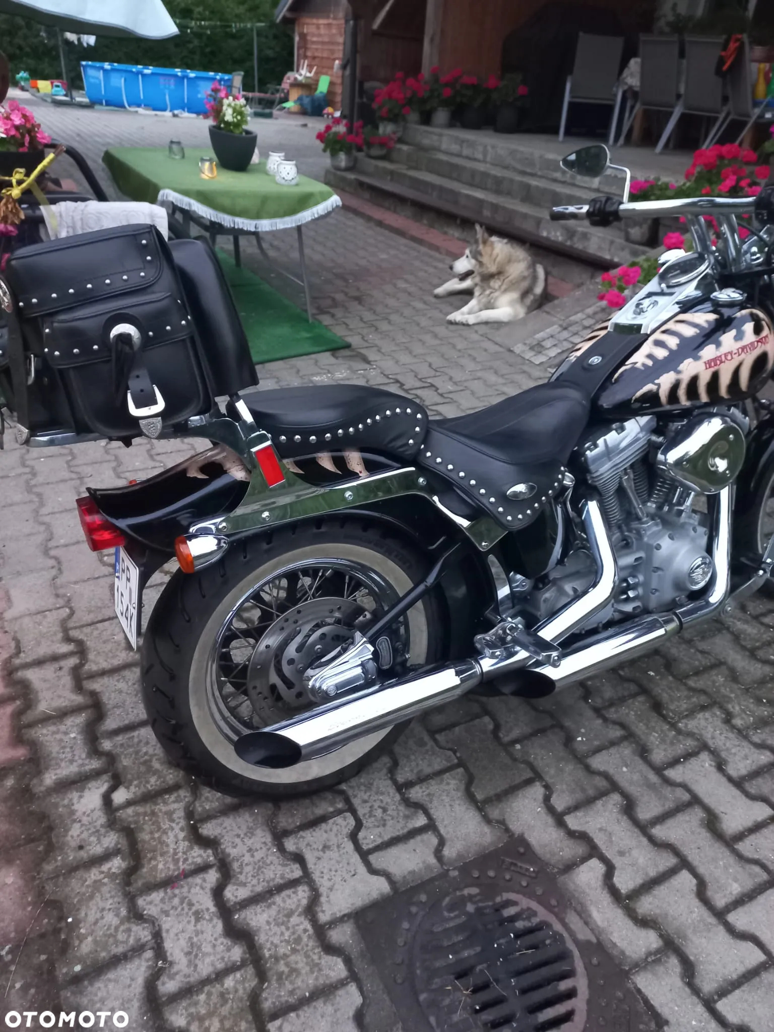 Harley-Davidson Softail - 4