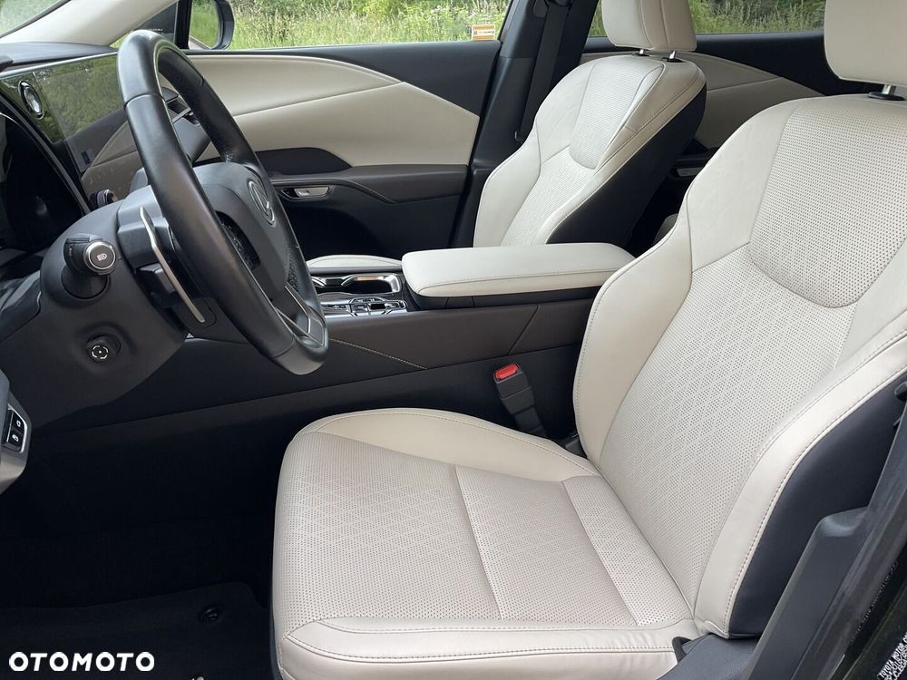Lexus RX 450h+ Prestige - 20