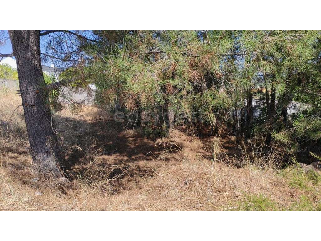 Lote para construção de moradia isolada perto da cidade de Torres N... - Grande imagem: 3/12