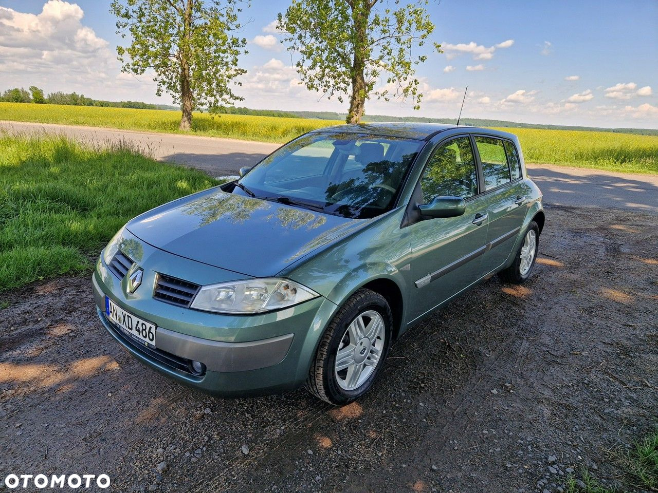 Renault Megane 1.6 Luxe Privilege - 37