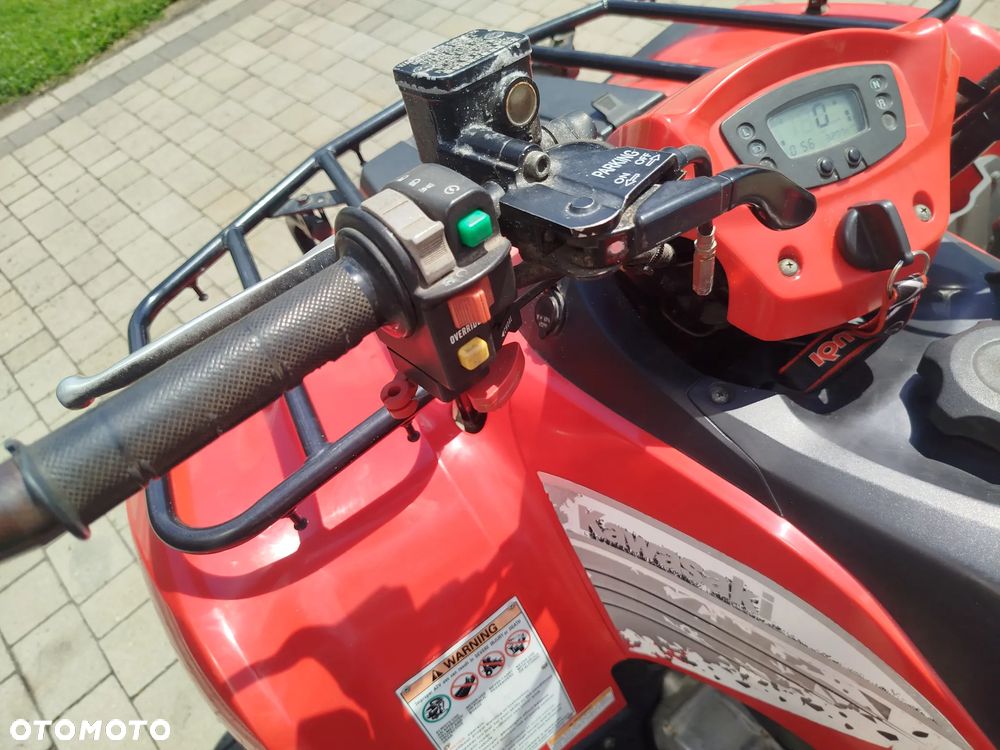 Kawasaki Brute Force - 17